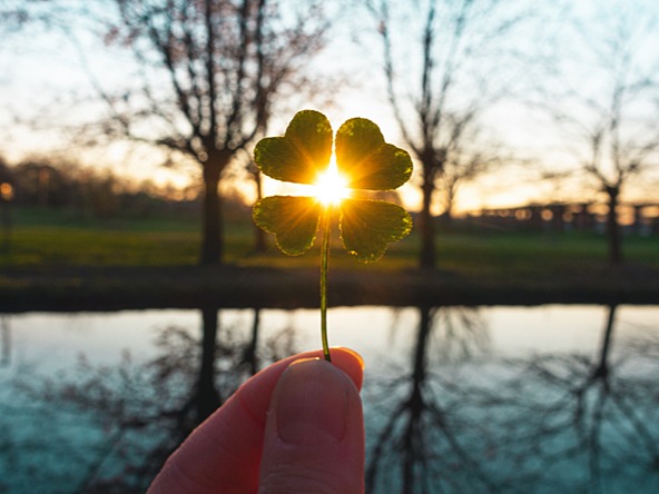 Lucky clover good luck_crop